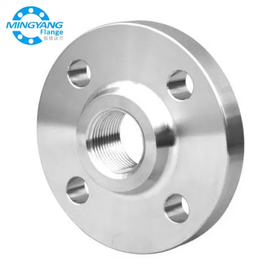 Manufacturer Stainless Steel Pipe Fitting Investment Casting Threaded Flange DN10 316 Pn6/10/16/25/40